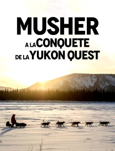 Musher : à la conquête de la Yukon Quest