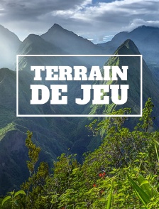 Terrain de jeu
