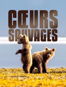 Cœurs sauvages