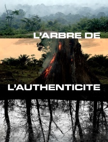 L'arbre de l'authenticité