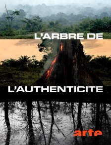 Arte - L'arbre de l'authenticité