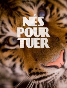 Nés pour tuer