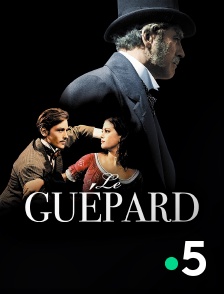 France 5 - Le guépard