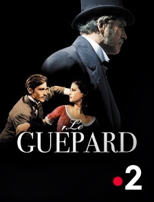 France 2 - Le Guépard