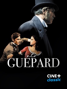 Le guépard