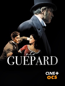 CINÉ Cinéma - Le Guépard