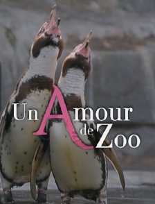 Un amour de zoo