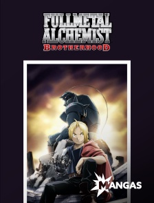 MANGAS - Fullmetal Alchemist : Brotherhood