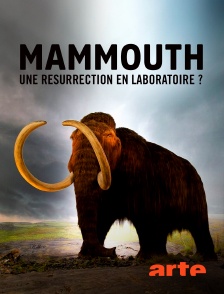 Arte - Le mammouth, une résurrection en laboratoire ?