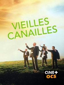 CINÉ Cinéma - Vieilles canailles