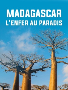 Madagascar : l'enfer au paradis