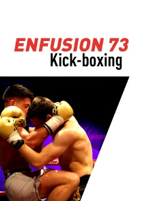 Enfusion 73