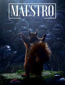 Maestro