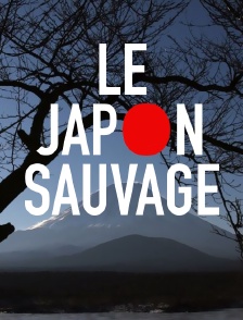 Le Japon sauvage : Les animaux du froid