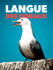 Langue des oiseaux