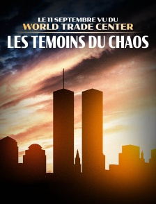 Le 11 septembre vu du World Trade Center, les témoins du chaos