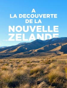 Nouvelle-Zélande : L'aventure aux antipodes