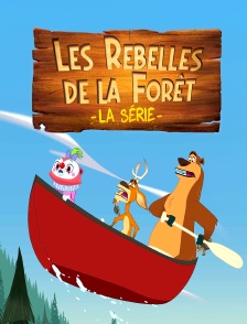 Les rebelles de la forêt, la série