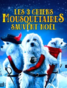 Les 3 chiens mousquetaires sauvent Noël