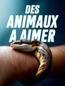 Des animaux à aimer