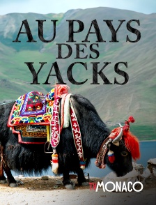 TV Monaco - Au pays des yacks