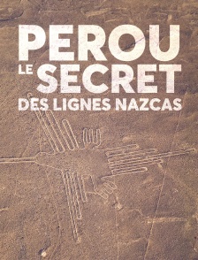 Pérou, le secret des lignes nazcas
