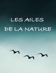 Les ailes de la nature