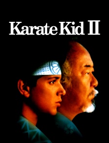 Karate Kid 2