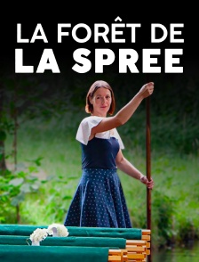 La forêt de la Spree