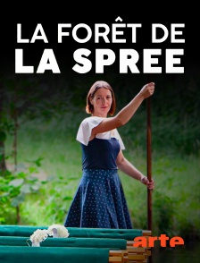 La forêt de la Spree