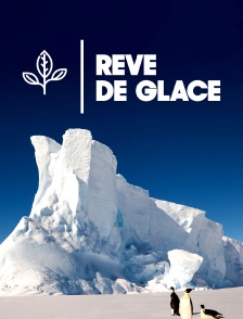Rêve de glace
