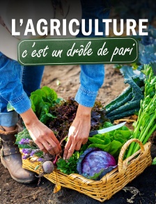 L'agriculture, c'est un drôle de pari