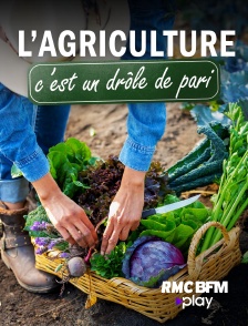 RMC BFM Play - L'agriculture, c'est un drôle de pari