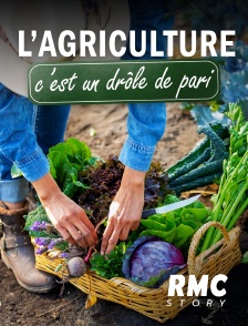 RMC Story - L'agriculture, c'est un drôle de pari