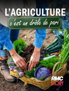 RMC Story - L'agriculture, c'est un drôle de pari
