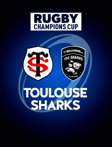 Rugby - Champions Cup : Toulouse / Sharks