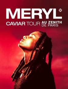 Meryl au Zénith de Paris