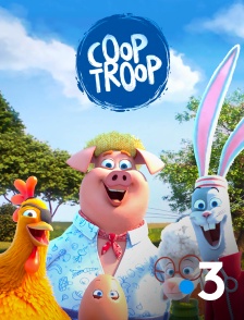 France 3 - Coop Troop