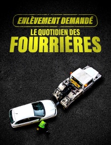 Enlèvement demandé : le quotidien des fourrières