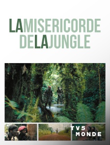 TV5MONDE - La miséricorde de la jungle
