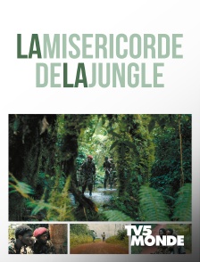 La miséricorde de la jungle