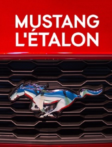 Mustang, l'étalon
