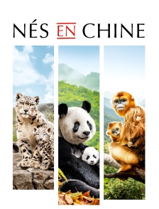 Nés en Chine