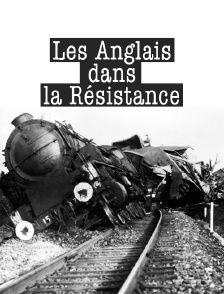 Les Anglais dans la Résistance