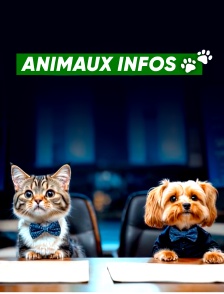Animaux infos