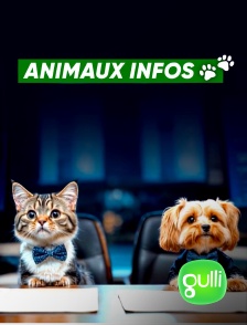 Gulli - Animaux infos