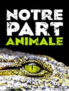 Notre part animale