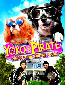 Yoko et Pirate, duo de choc contre filous