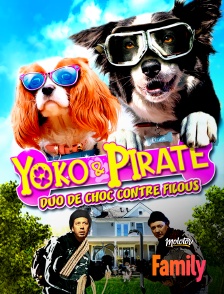 Yoko et pirate, duo de choc contre filous