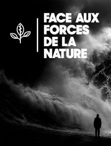Face aux forces de la Nature